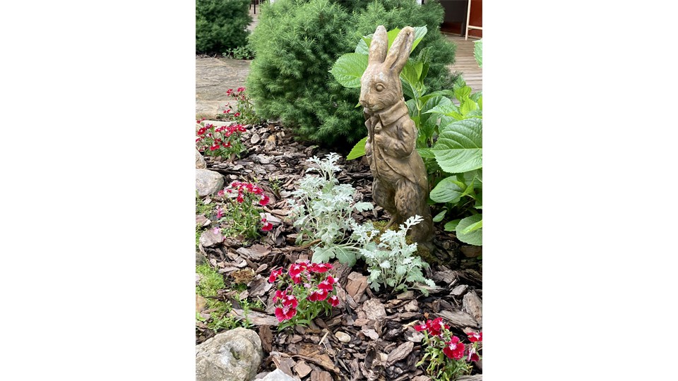 Peter Rabbit Garden Statue Peter Rabbit Garden Statue