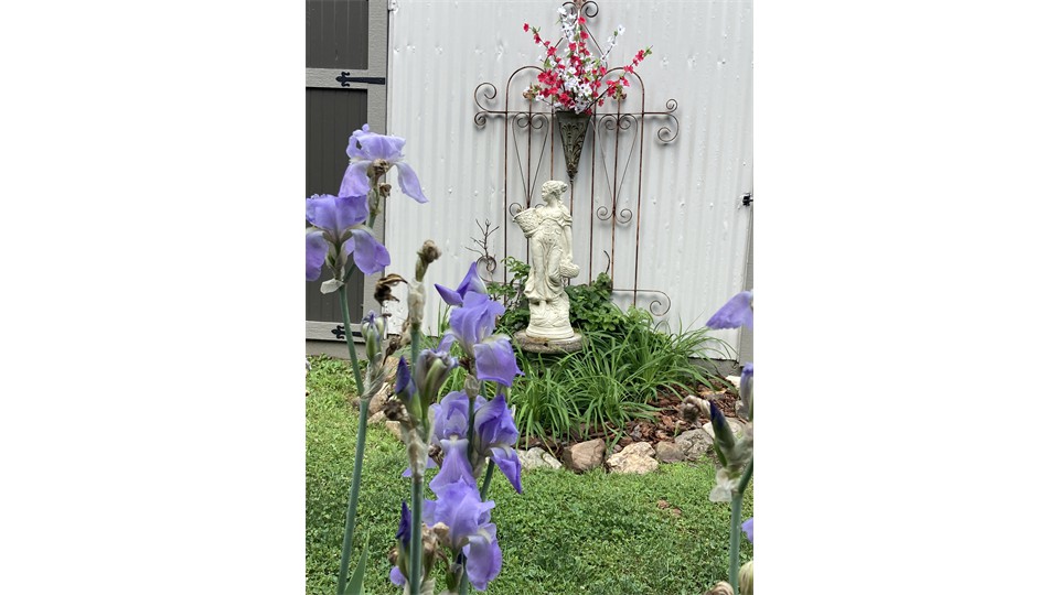 Stone Garden Statue in front of Trellis Stone Garden Statue in front of Trellis