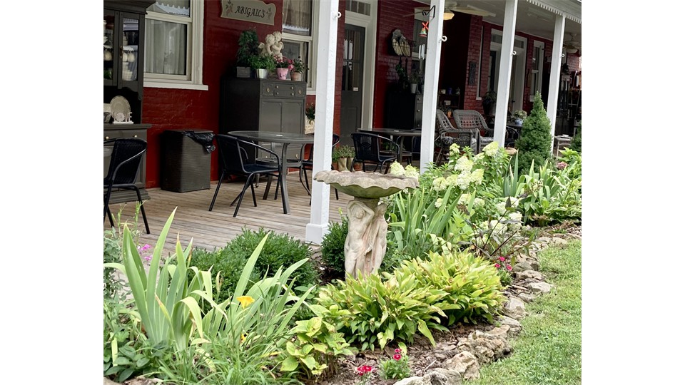 Hydrangea Garden Bird Bath Hydrangea Garden Bird Bath