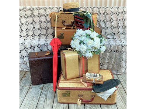 Suitcases Feminine Vignette